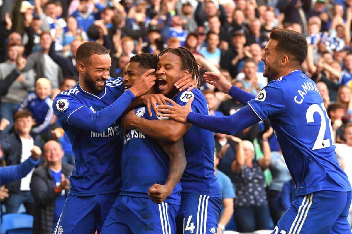 Tim sepak bola CARDIFF CITY 2019