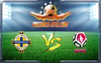 Prediksi Skor Northern Ireland Vs Belarus 28 Mei 2016