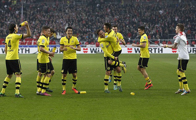 Borussia Dortmund Team Football