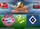 Prediksi Skor Bayern Munchen Vs Hamburger SV 25 Februari 2017