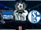 Prediksi Skor HERTHA BSC Vs SCHALKE 04 26 januari 2019